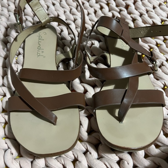 Splendid - Picture 6 of 8